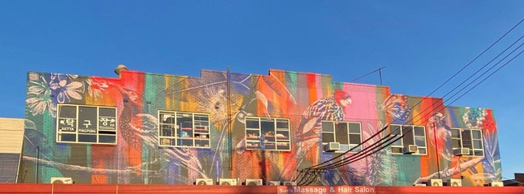 Parramatta Council News_ Native wildlife mural in Rydalmere